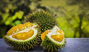 Durian Termahal Buah Durian