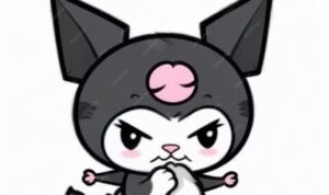 Kuromi kuromi