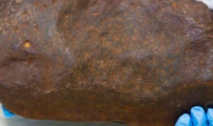 Screenshot_20241107-095020~2