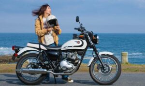 Kawasaki W230 Kawasaki W230