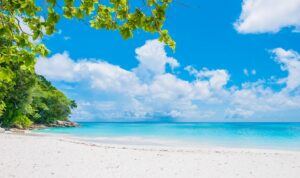 Perbedaan Teluk, Selat, dan Semenanjng