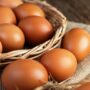 Makan Telur Setiap Hari Apa Bisa Bikin Otot Lebih Cepat Besar
