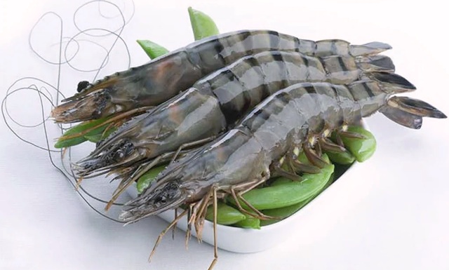 Udang Black Tiger