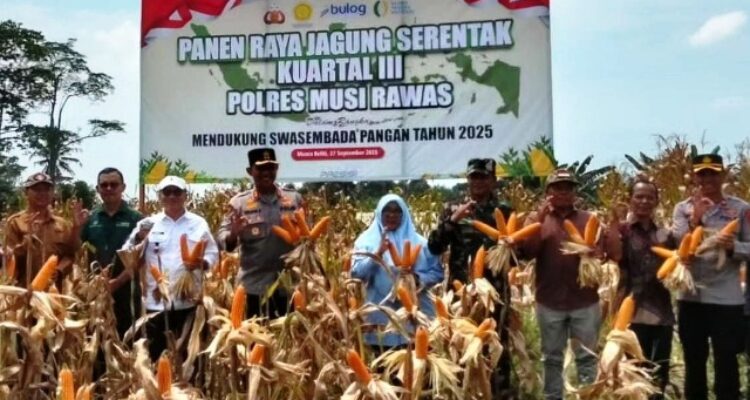 Panen Jagung