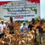 Panen Jagung